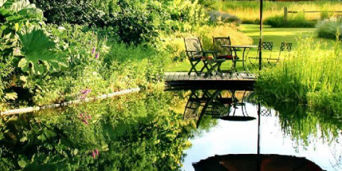 Как да направите езерце в страната със собствените си ръце